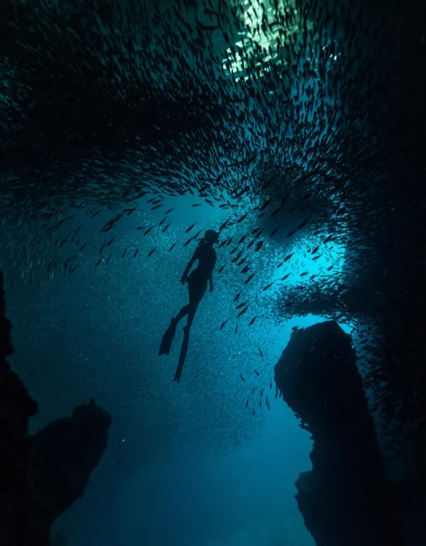 A freediver in an underwater cave full of fish