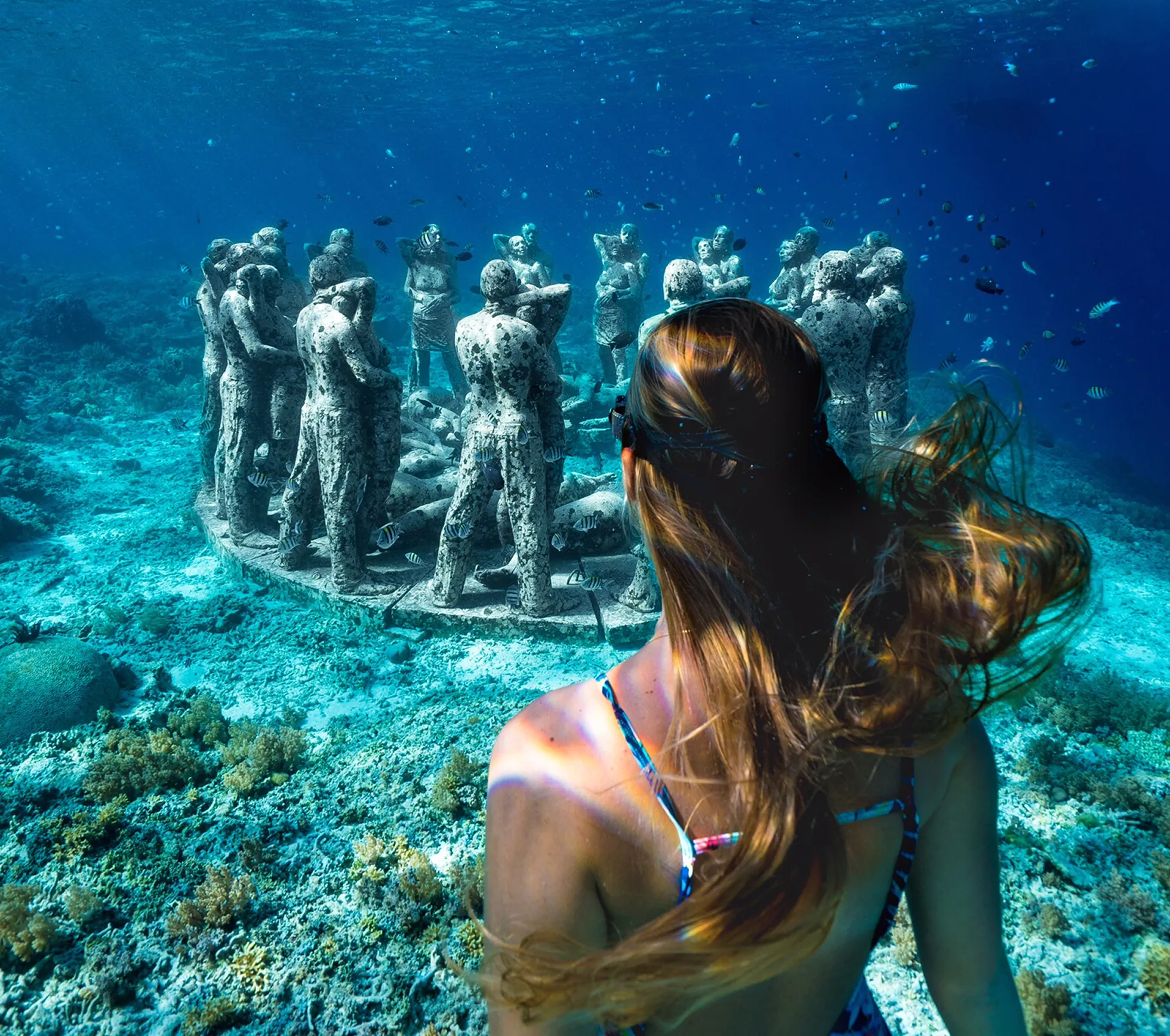 Sofia freediving